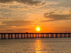 -宝安西湾红树林湿地公园