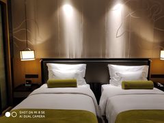-重庆悦来温德姆酒店
