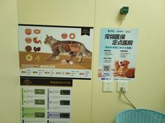 -纳吉亚猫专科动物医院博雅分院
