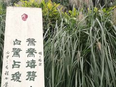 -重庆彩云湖湿地公园