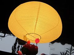 各种装饰灯-南京夫子庙国际青年旅舍(平江府路店)