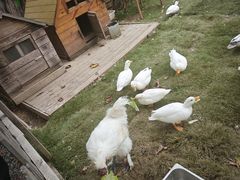 -HERRE·FARM 赫尔露营农场·团建聚会包场