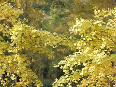 -白鹭湾湿地公园