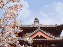 -西安青龙寺遗址景区