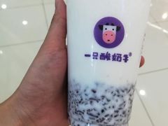 原味酸奶紫米露-一只酸奶牛(汕头金平万达广场店)