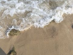 -玫瑰海岸文化旅游度假区