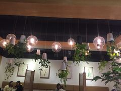 -柴务处·柴犬主题狗咖