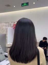 -YESIDO椰岛造型