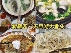 -紫藤园·天目湖大鱼头(南山竹海店)