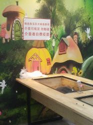 -神奇动物撸宠馆·羊驼·小浣熊·异宠(豫园店)
