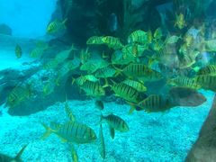 -波塞冬旅游度假区