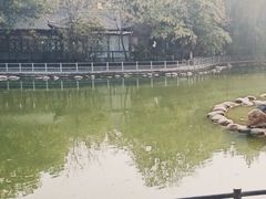 -莲湖公园