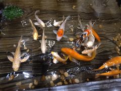 -天沐温泉(抚顺店)