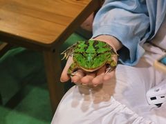 -藦茜花园宠物主题亲子互动体验馆(国顺东路店)
