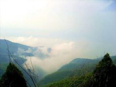 android_upload_pic-云台山风景名胜区