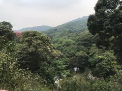-桃花涧