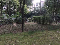 -卓锦曼购中心(国香街店)