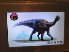 -世界恐龙谷景区