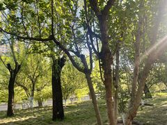 -元大都城垣遗址公园