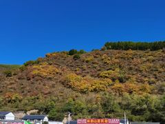 -塞罕坝国家级自然保护区