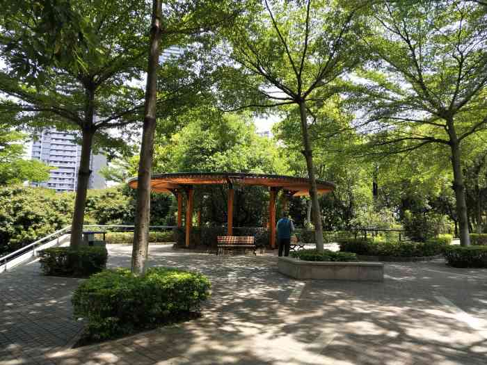 燕晗山郊野公园-"这个公园位于华侨城片区,多条公交线路和地.