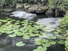 -苏州文旅花间堂·探花府酒店