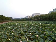 -南京信息职业技术学院