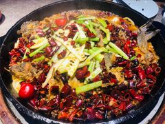 -老板恋上鱼(恒隆广场店)