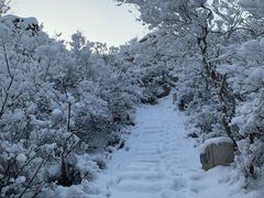 -北京凤凰岭