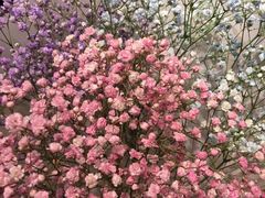 -花木兰花艺MULAN(温馨花园店)