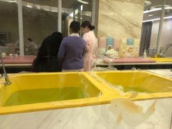 -星摇篮月子中心(市妇幼店)