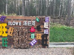 -汤旺河林海奇石景区