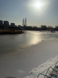 -268童话露营农场·烧烤·团建
