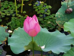 -上海市保健医疗中心