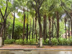 -厦门大学(思明校区)