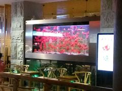 -御池园(顾村公园店)