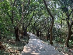 -小南山公园