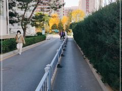 -北京中医药大学东方医院(方庄院区)