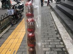 -老北京冰糖葫芦(春明路店)