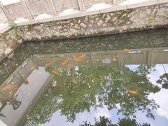 -墨池公园