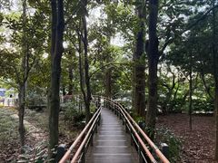 -汉拿树木园