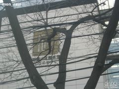 -石景山区图书馆(八角南路)