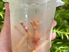 -炖物24章·顺时轻养茶(黄龙店)