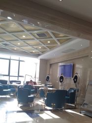 -碧莲盛·不剃发植发