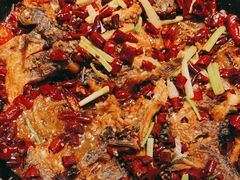 -老板恋上鱼(印象城店)