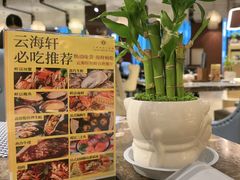 -云海轩·海鲜自助-河北云瑧世纪大饭店1F