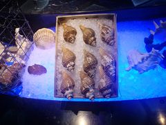 -亚特兰蒂斯•OSSIANO奥西亚诺海底餐厅