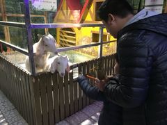 -上海大自然野生昆虫馆(东方明珠·爬宠昆虫探索中心)