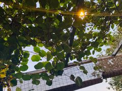 -后海16号·北京私房菜