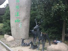 -溱湖国家湿地公园